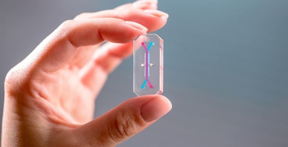 Орган-на-чипе