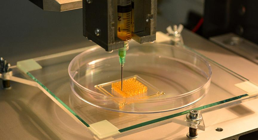 Биопечать тканей